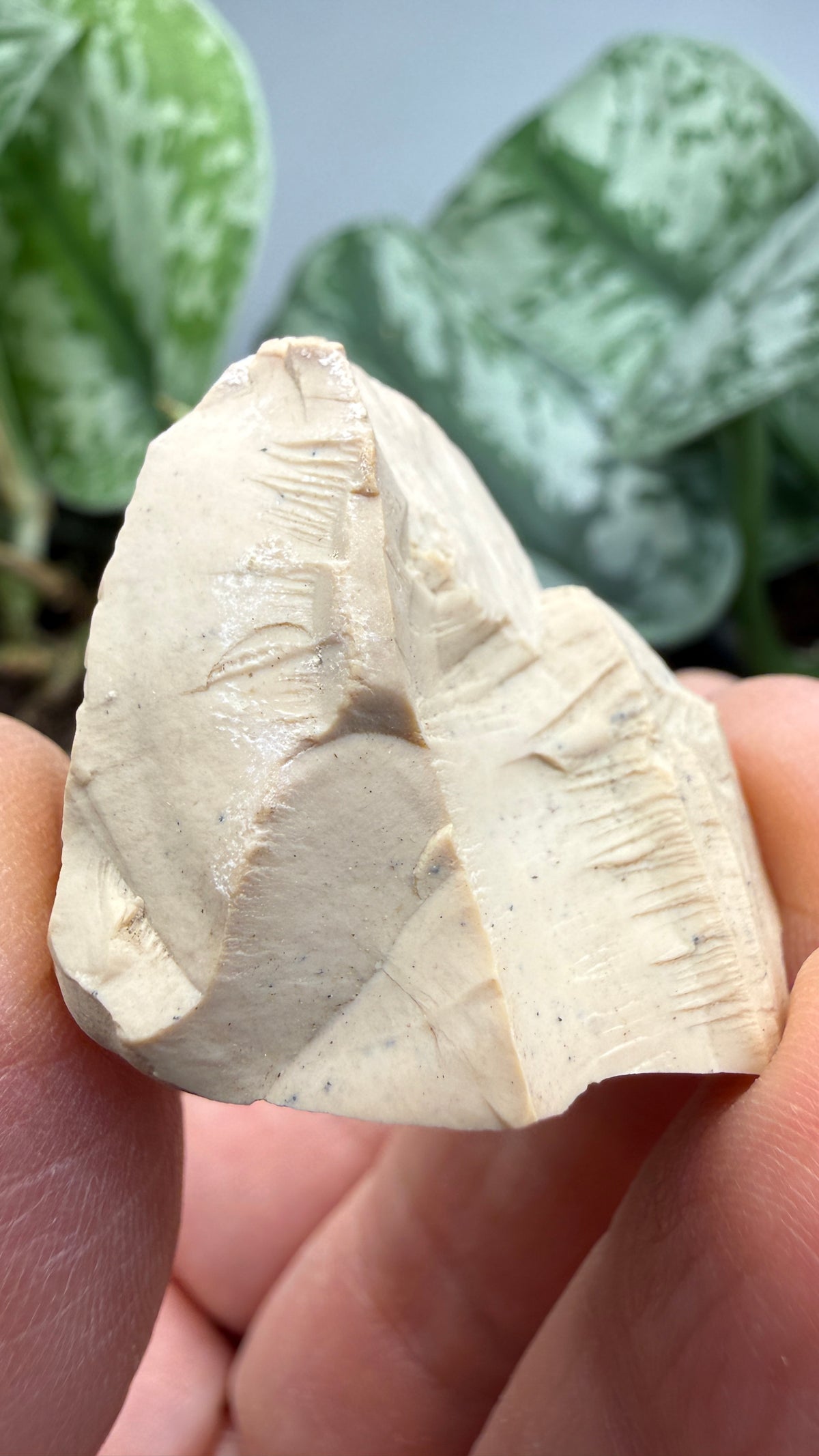 Montmorillonite– Ventura County, California- Two-Specimen Parcel