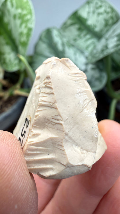 Montmorillonite– Ventura County, California- Two-Specimen Parcel