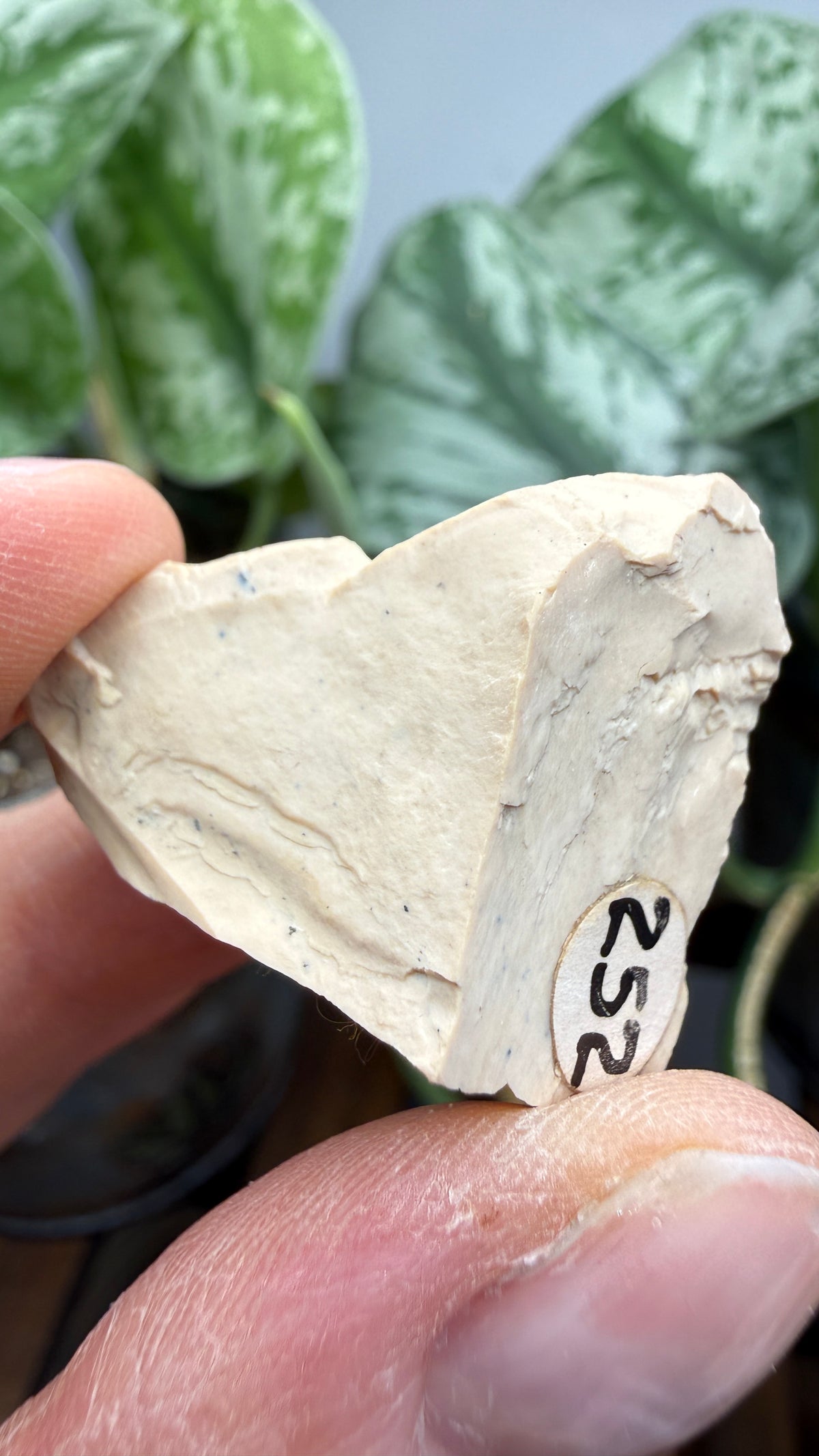Montmorillonite– Ventura County, California- Two-Specimen Parcel
