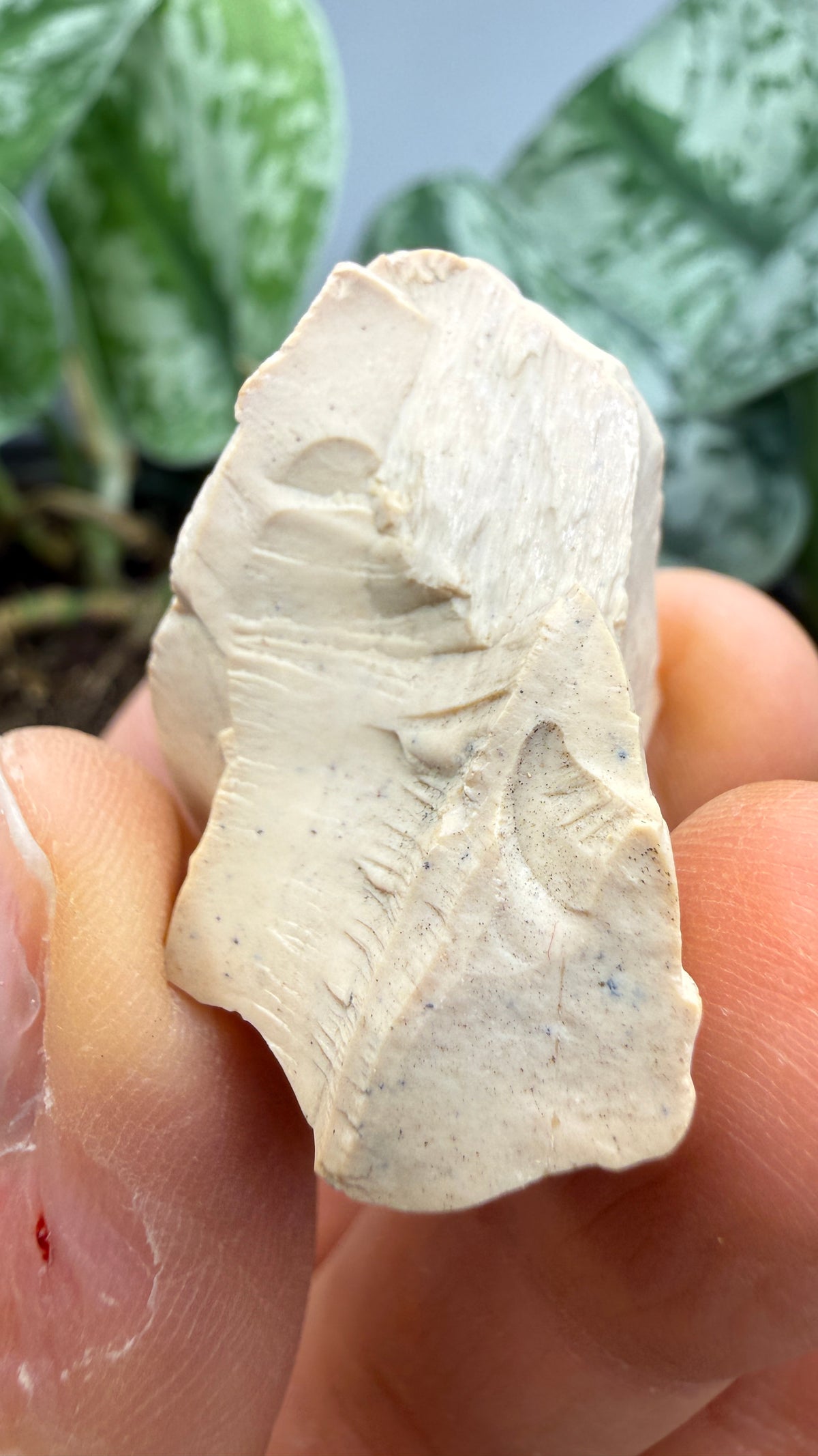 Montmorillonite– Ventura County, California- Two-Specimen Parcel