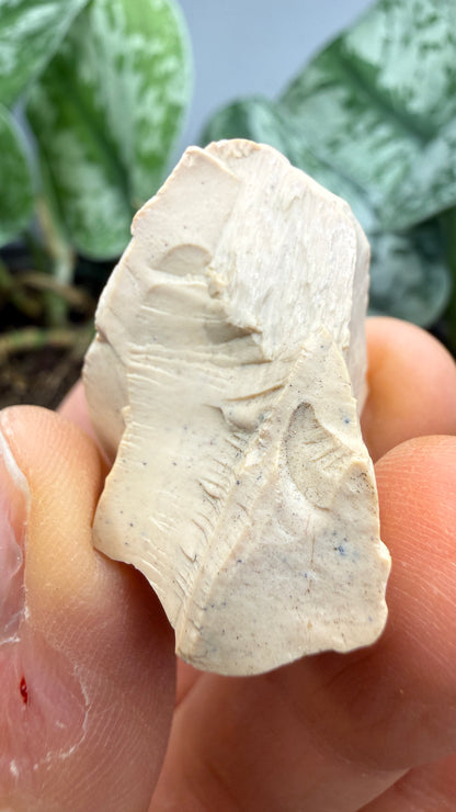 Montmorillonite– Ventura County, California- Two-Specimen Parcel
