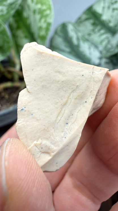 Montmorillonite– Ventura County, California- Two-Specimen Parcel