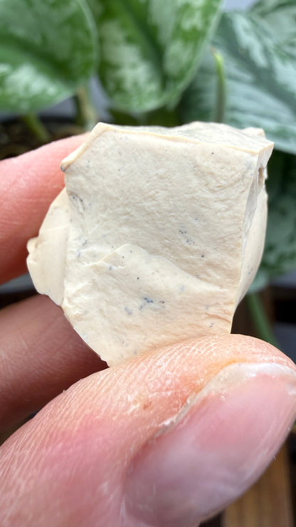 Montmorillonite– Ventura County, California- Two-Specimen Parcel