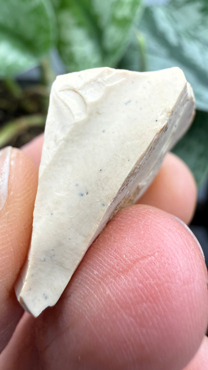 Montmorillonite– Ventura County, California- Two-Specimen Parcel