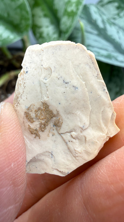 Montmorillonite– Ventura County, California- Two-Specimen Parcel