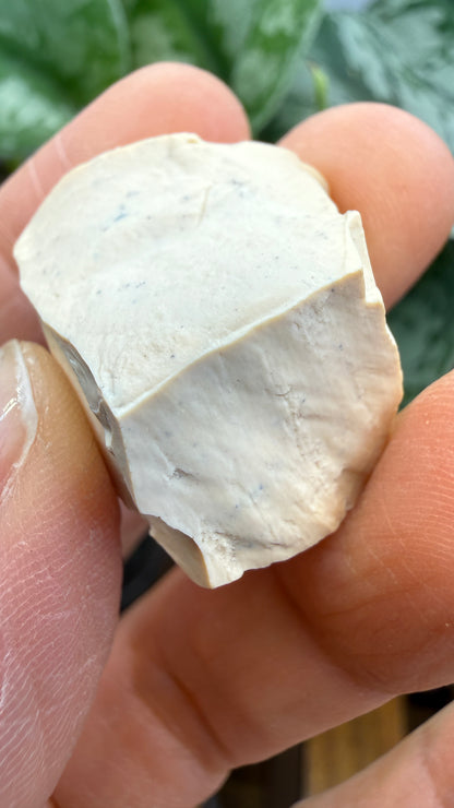 Montmorillonite– Ventura County, California- Two-Specimen Parcel