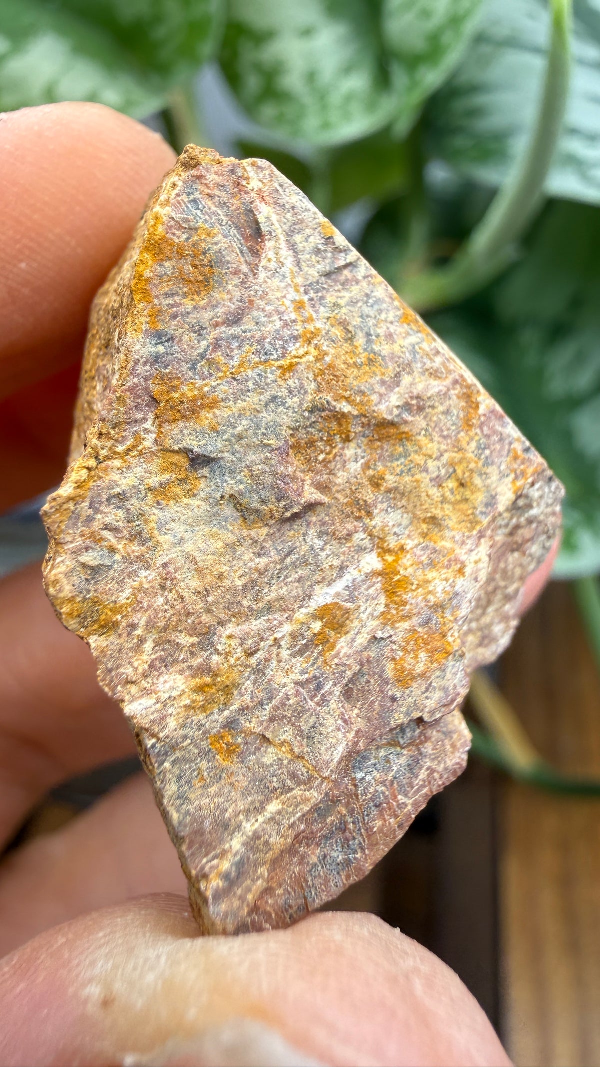 Monazite-(Ce)- Ramsey Mine, Ramseytown, Yancey County, North Carolina, USA