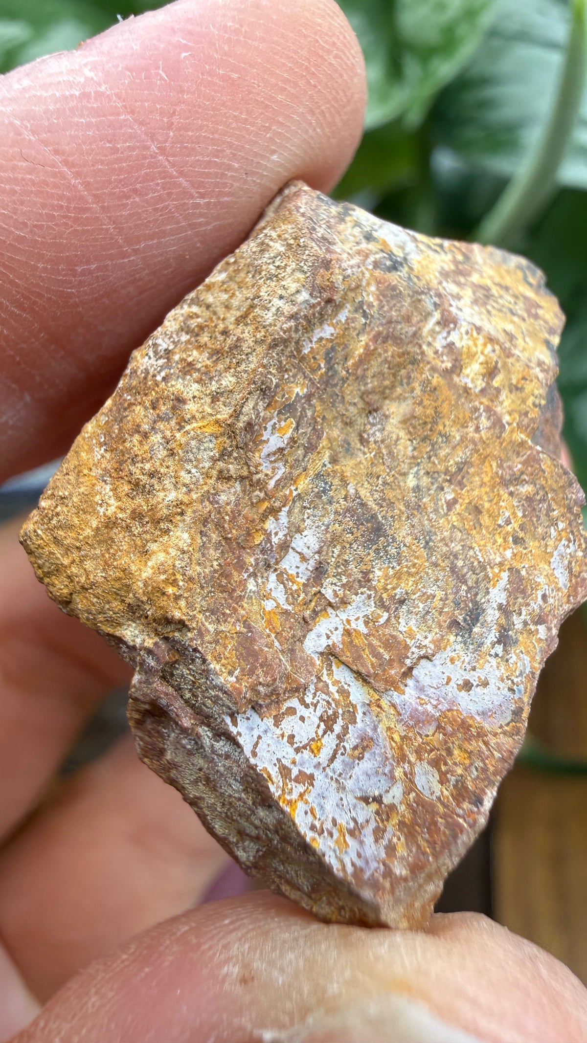 Monazite-(Ce)- Ramsey Mine, Ramseytown, Yancey County, North Carolina, USA