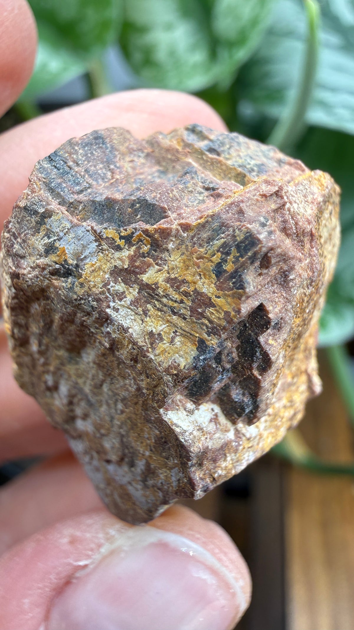 Monazite-(Ce)- Ramsey Mine, Ramseytown, Yancey County, North Carolina, USA