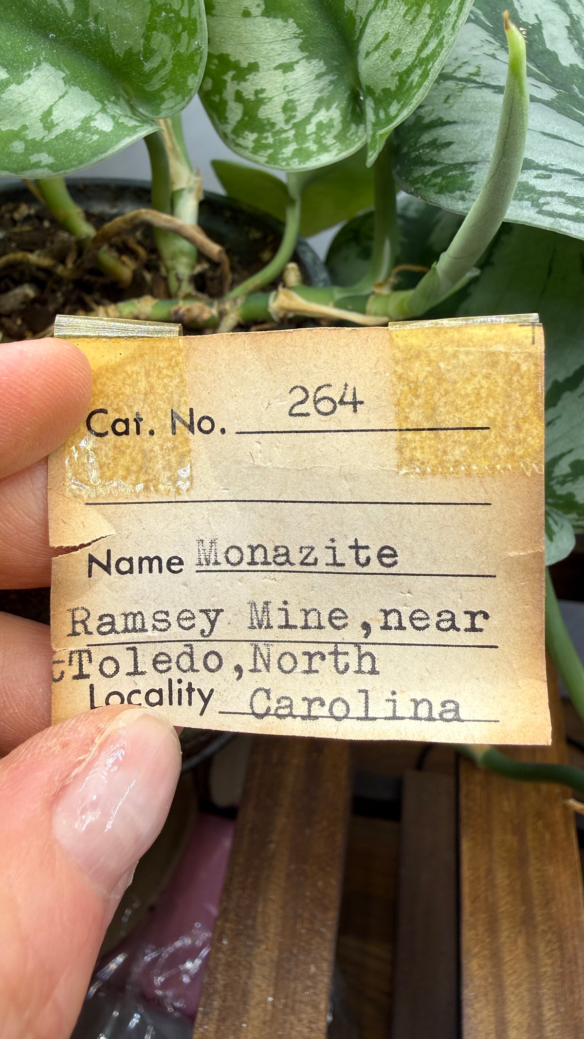 Monazite-(Ce)- Ramsey Mine, Ramseytown, Yancey County, North Carolina, USA
