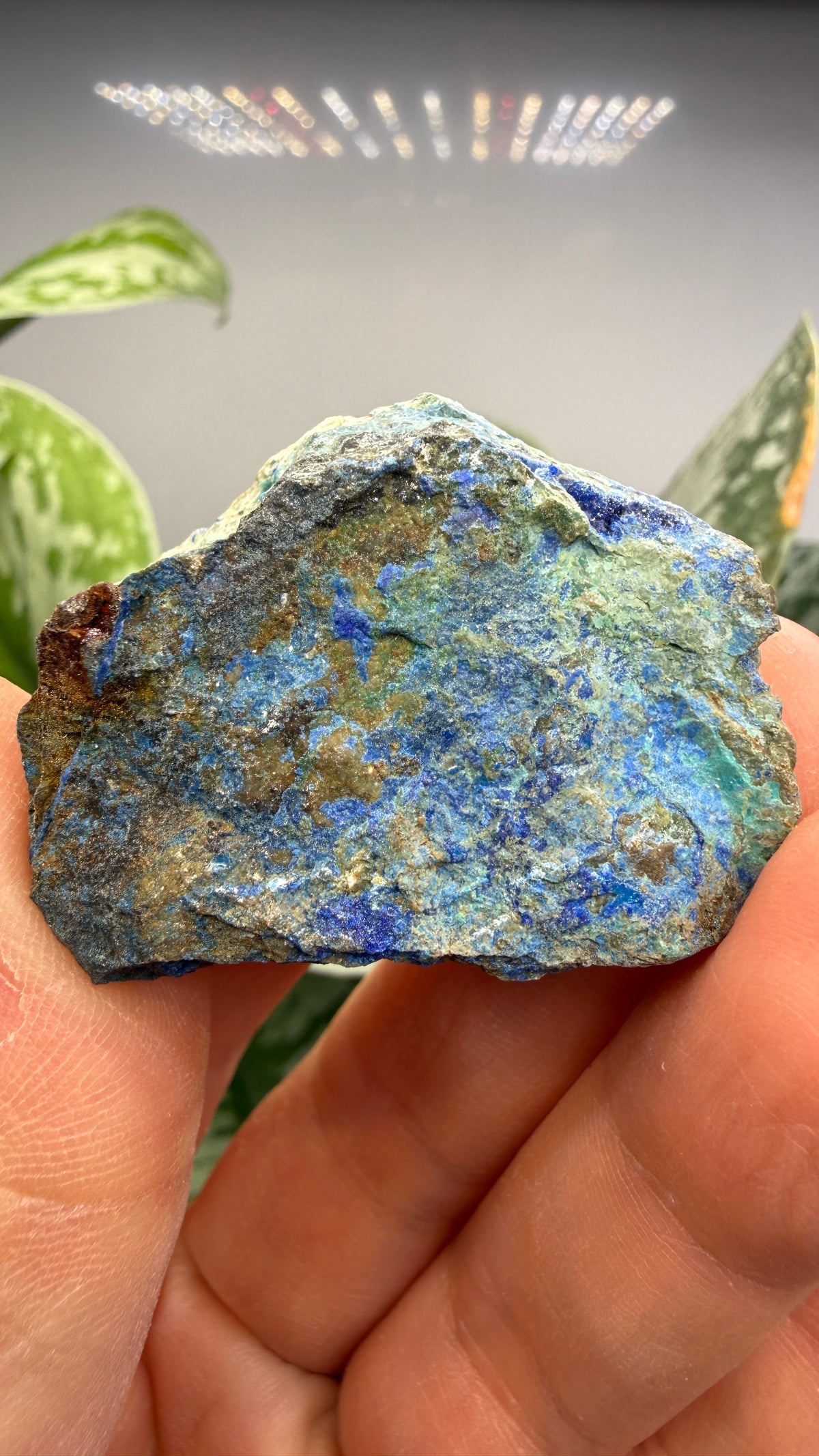 Linarite, Caledonite, Brochantite- Blue Bell Mine, Soda Mountains, San Bernardino County, California, USA
