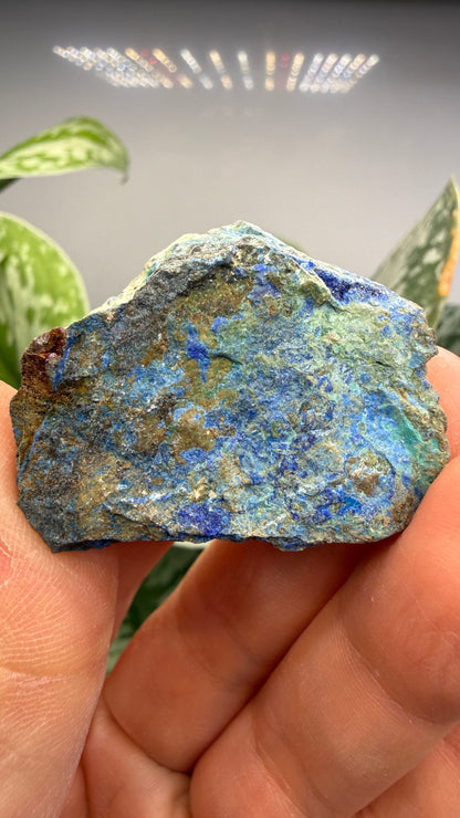 Linarite, Caledonite, Brochantite- Blue Bell Mine, Soda Mountains, San Bernardino County, California, USA