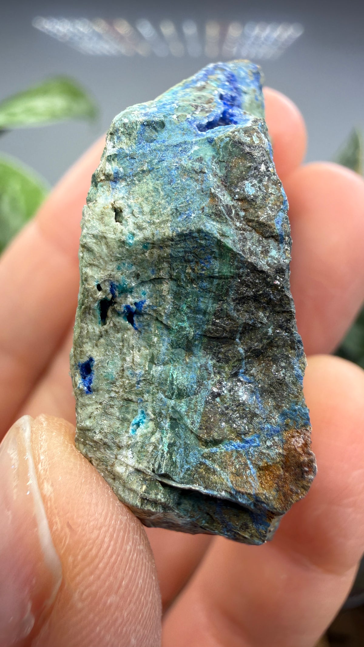Linarite, Caledonite, Brochantite- Blue Bell Mine, Soda Mountains, San Bernardino County, California, USA