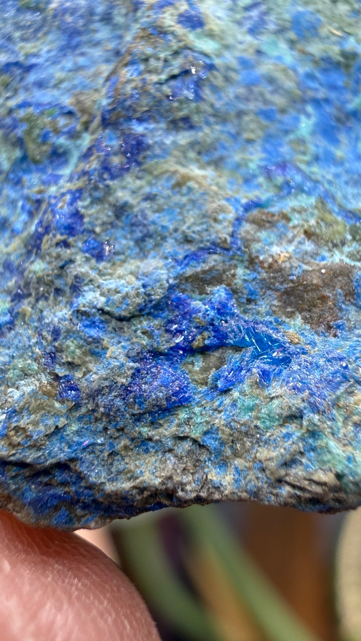 Linarite, Caledonite, Brochantite- Blue Bell Mine, Soda Mountains, San Bernardino County, California, USA