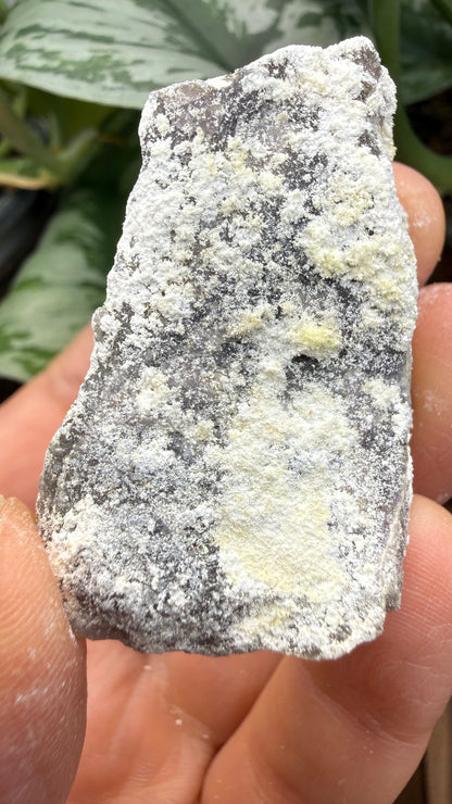 Spurrite- Spurrite skarn lens, South Sister Peak, Tres Hermanas Mining District, Luna Co, New Mexico, USA