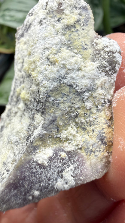 Spurrite- Spurrite skarn lens, South Sister Peak, Tres Hermanas Mining District, Luna Co, New Mexico, USA