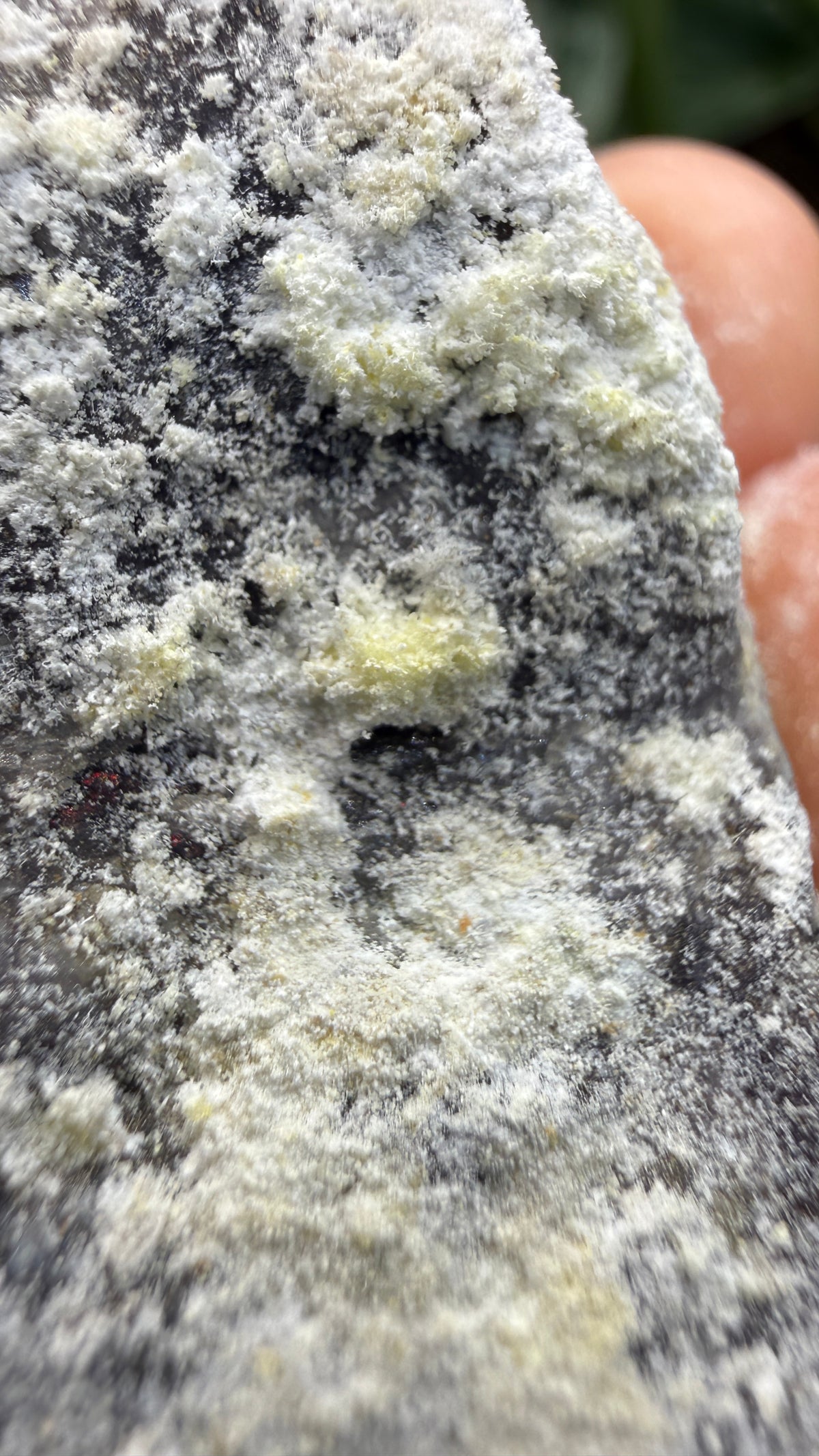 Spurrite- Spurrite skarn lens, South Sister Peak, Tres Hermanas Mining District, Luna Co, New Mexico, USA