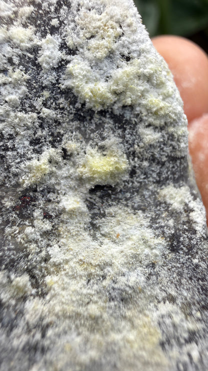 Spurrite- Spurrite skarn lens, South Sister Peak, Tres Hermanas Mining District, Luna Co, New Mexico, USA