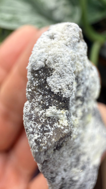 Spurrite- Spurrite skarn lens, South Sister Peak, Tres Hermanas Mining District, Luna Co, New Mexico, USA