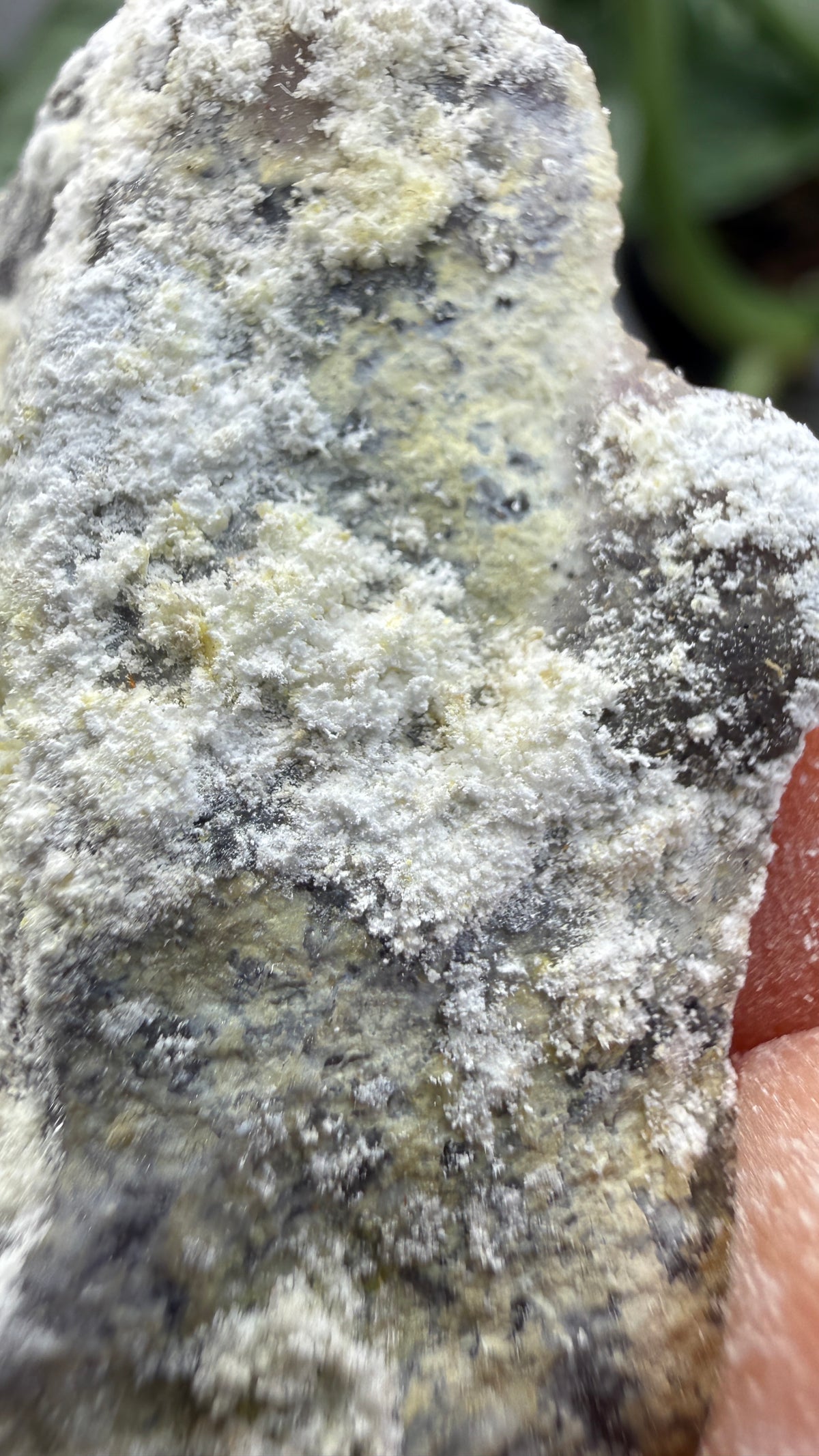 Spurrite- Spurrite skarn lens, South Sister Peak, Tres Hermanas Mining District, Luna Co, New Mexico, USA