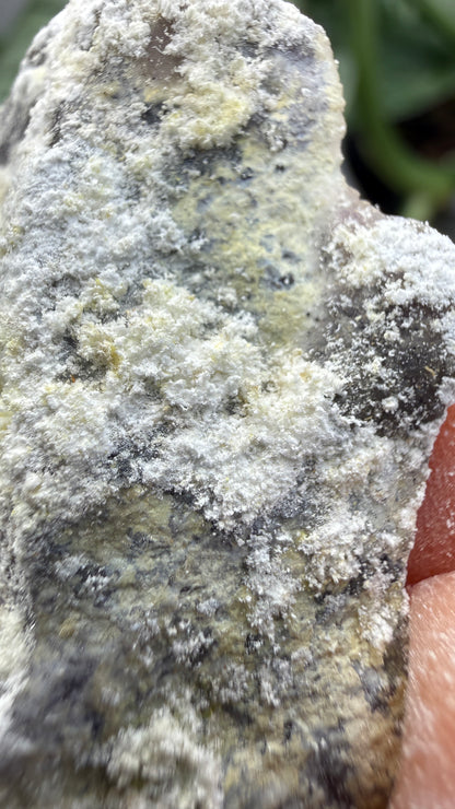 Spurrite- Spurrite skarn lens, South Sister Peak, Tres Hermanas Mining District, Luna Co, New Mexico, USA
