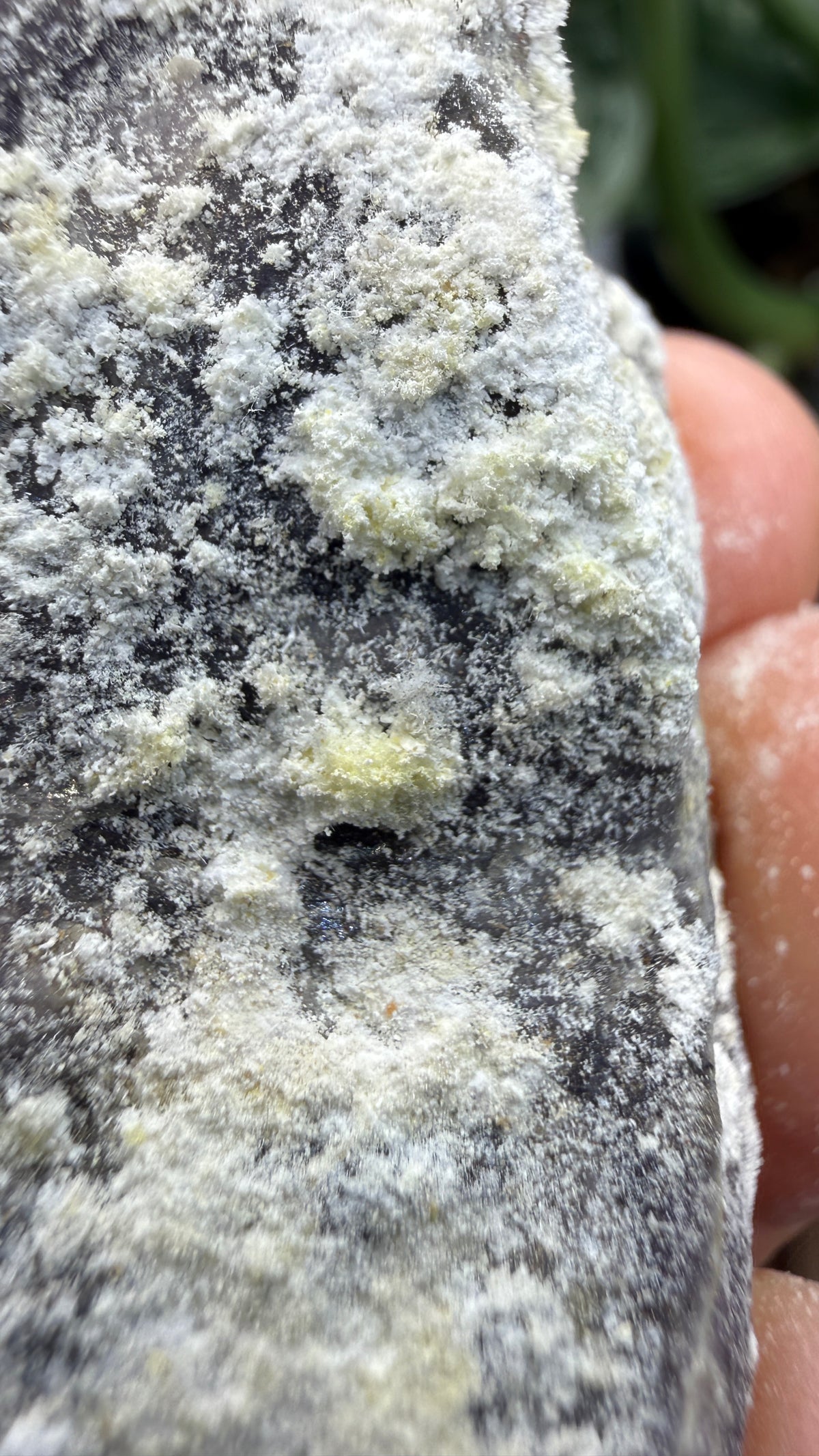 Spurrite- Spurrite skarn lens, South Sister Peak, Tres Hermanas Mining District, Luna Co, New Mexico, USA