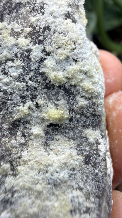 Spurrite- Spurrite skarn lens, South Sister Peak, Tres Hermanas Mining District, Luna Co, New Mexico, USA