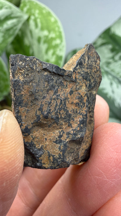 Tantalite- Hill City Mining District, Pennington County, South Dakota, USA