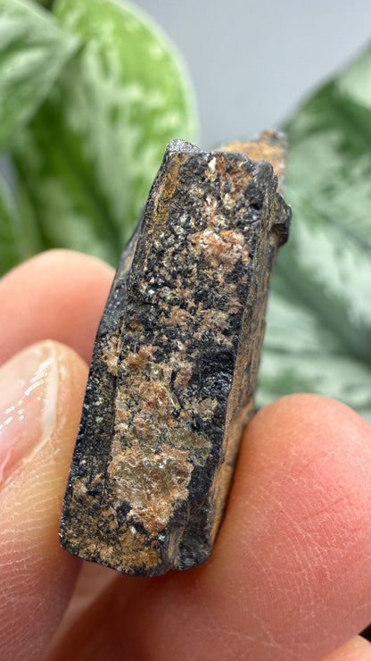 Tantalite- Hill City Mining District, Pennington County, South Dakota, USA