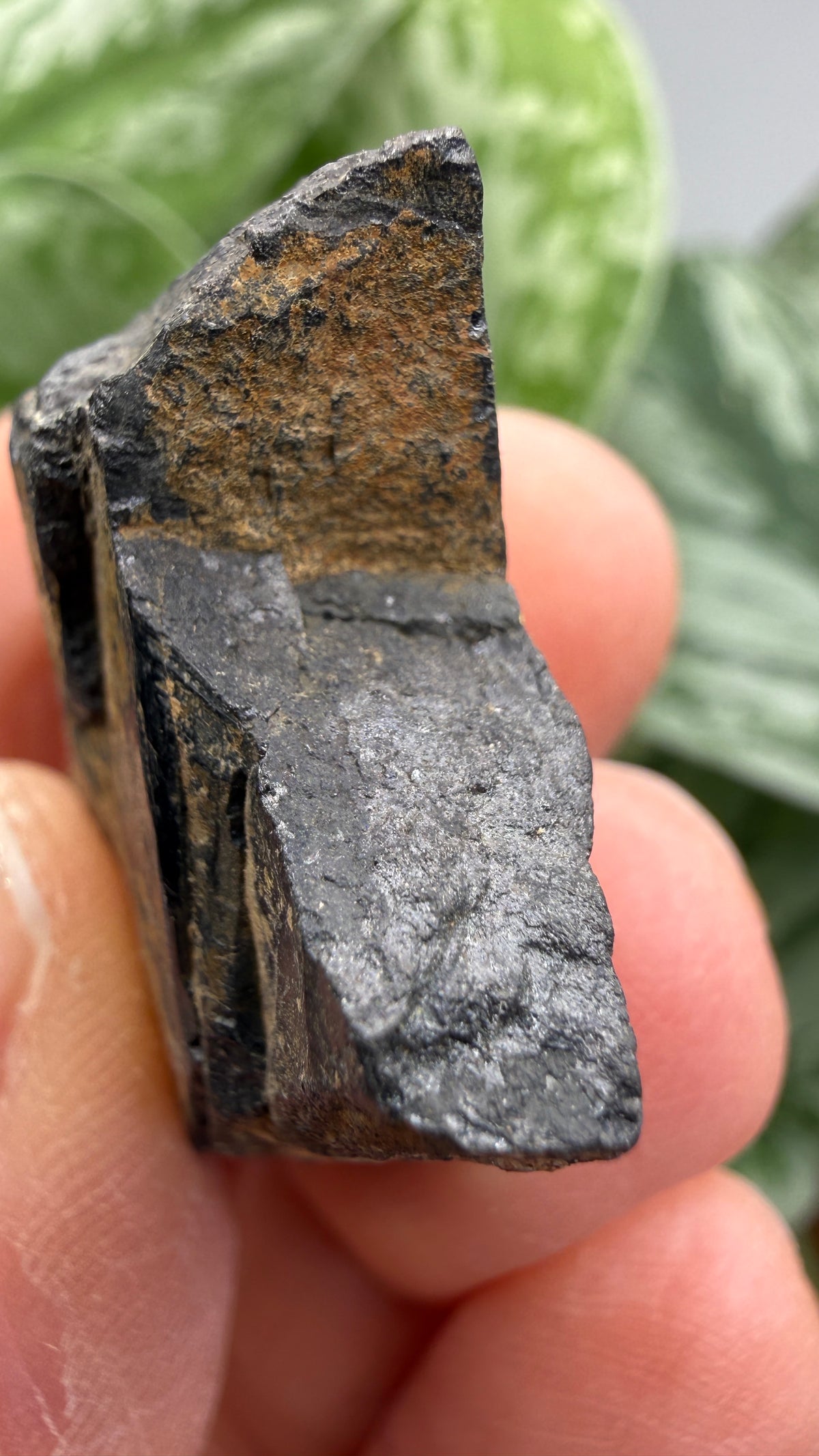 Tantalite- Hill City Mining District, Pennington County, South Dakota, USA