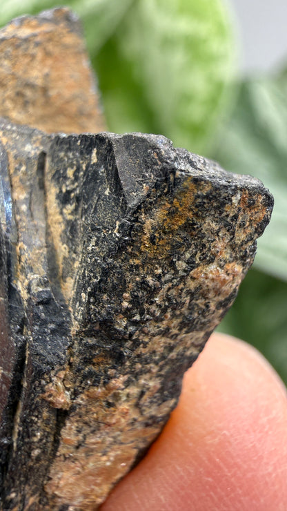 Tantalite- Hill City Mining District, Pennington County, South Dakota, USA