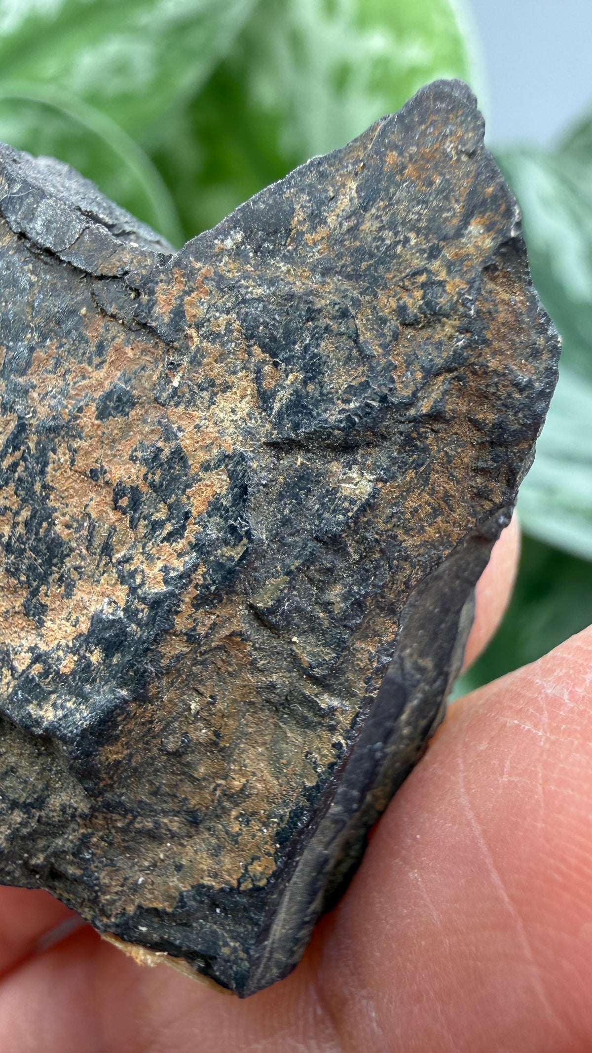 Tantalite- Hill City Mining District, Pennington County, South Dakota, USA