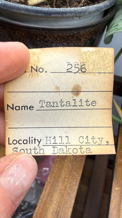 Tantalite- Hill City Mining District, Pennington County, South Dakota, USA