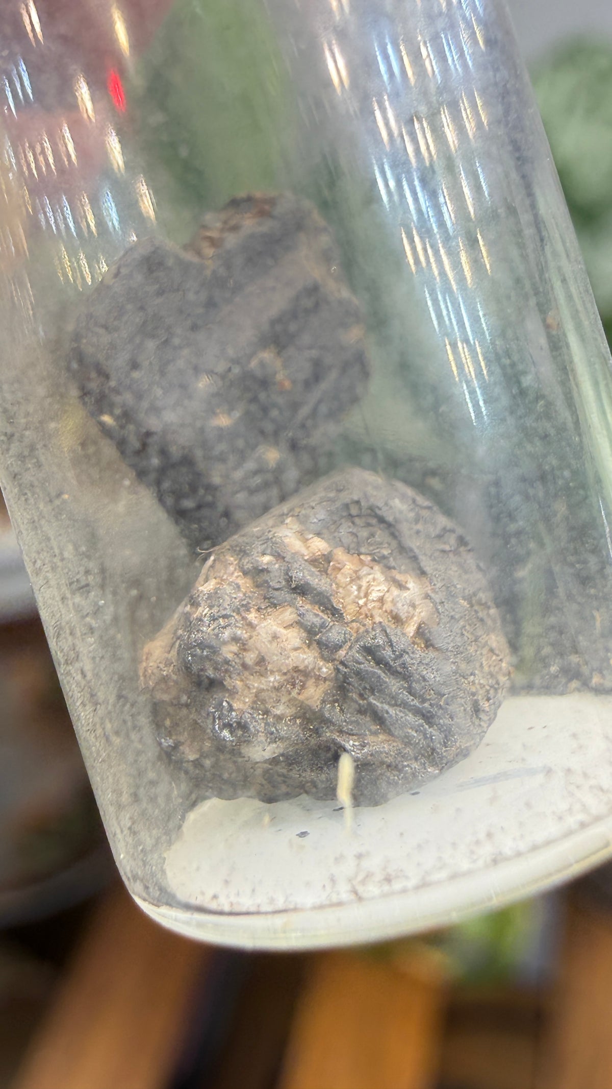 Tantalite– Mexico- Two-Specimen Parcel