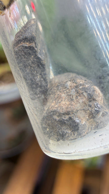 Tantalite– Mexico- Two-Specimen Parcel