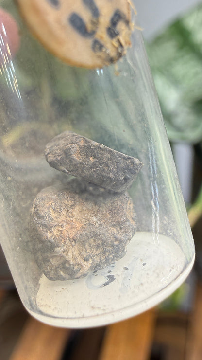 Tantalite– Mexico- Two-Specimen Parcel