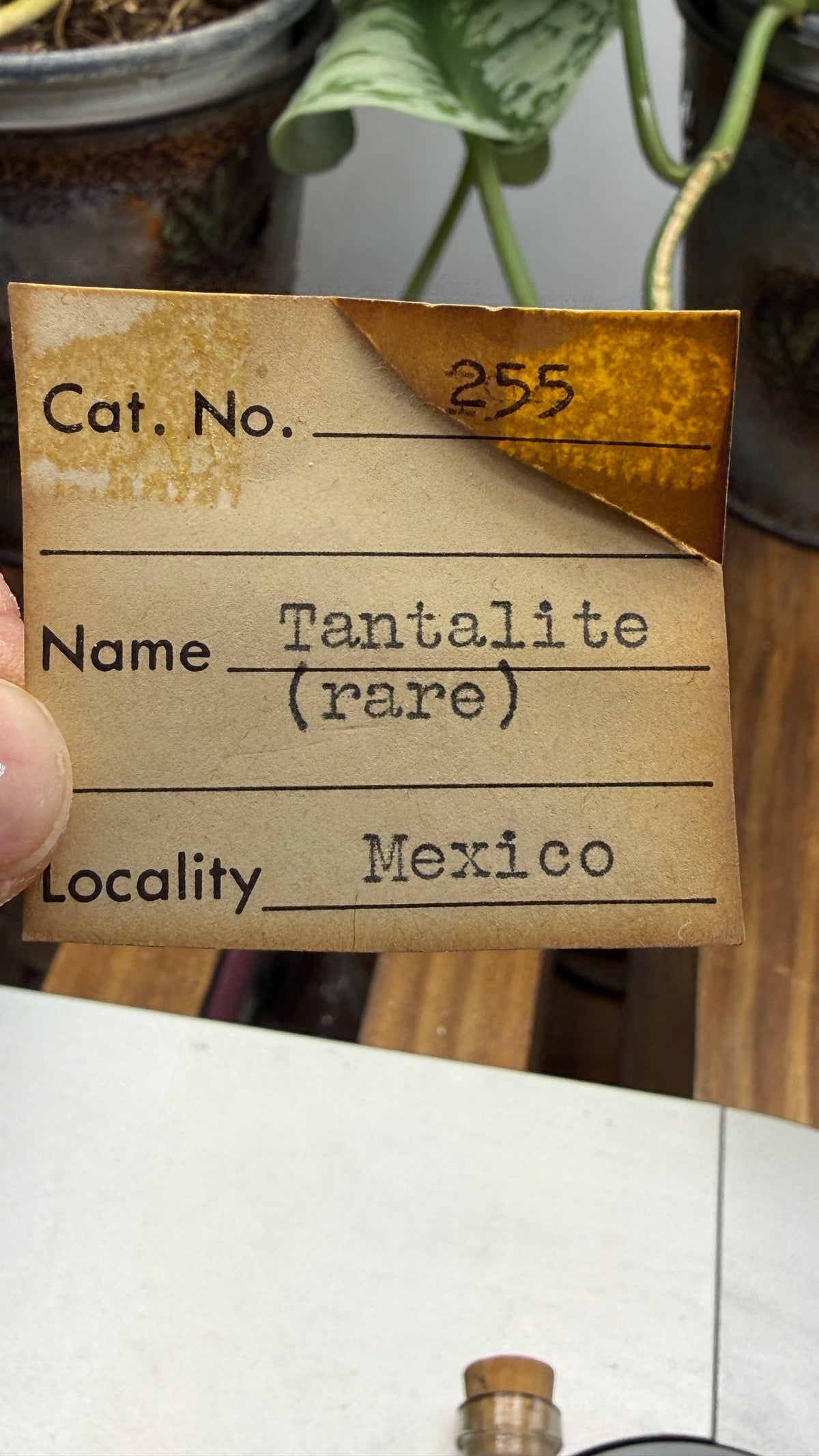 Tantalite– Mexico- Two-Specimen Parcel