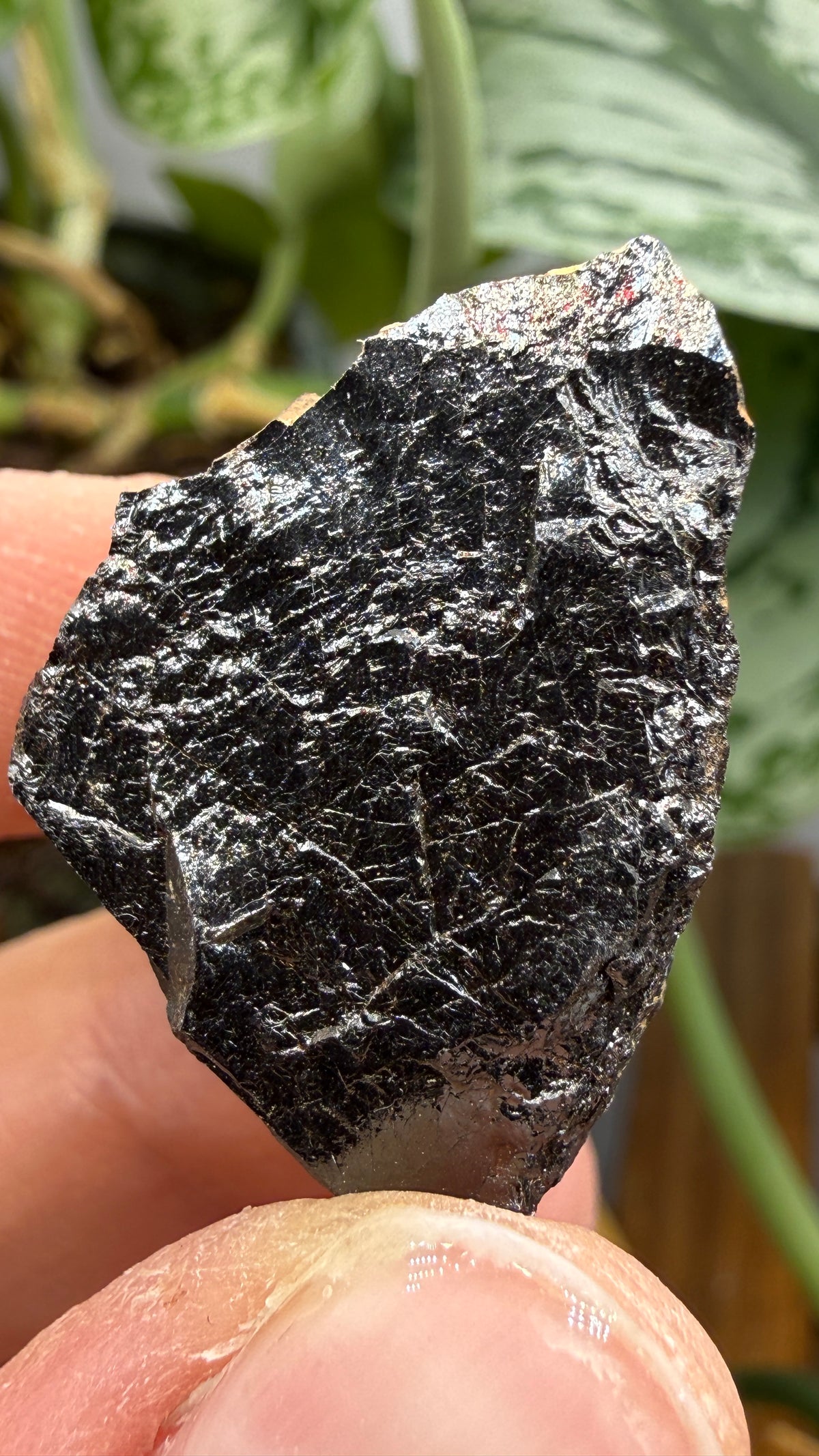 Euxenite-(Y)- Sahamandrevo Pegmatite, Ambohimasina, Betafo District, Vakinankaratra, Madagascar