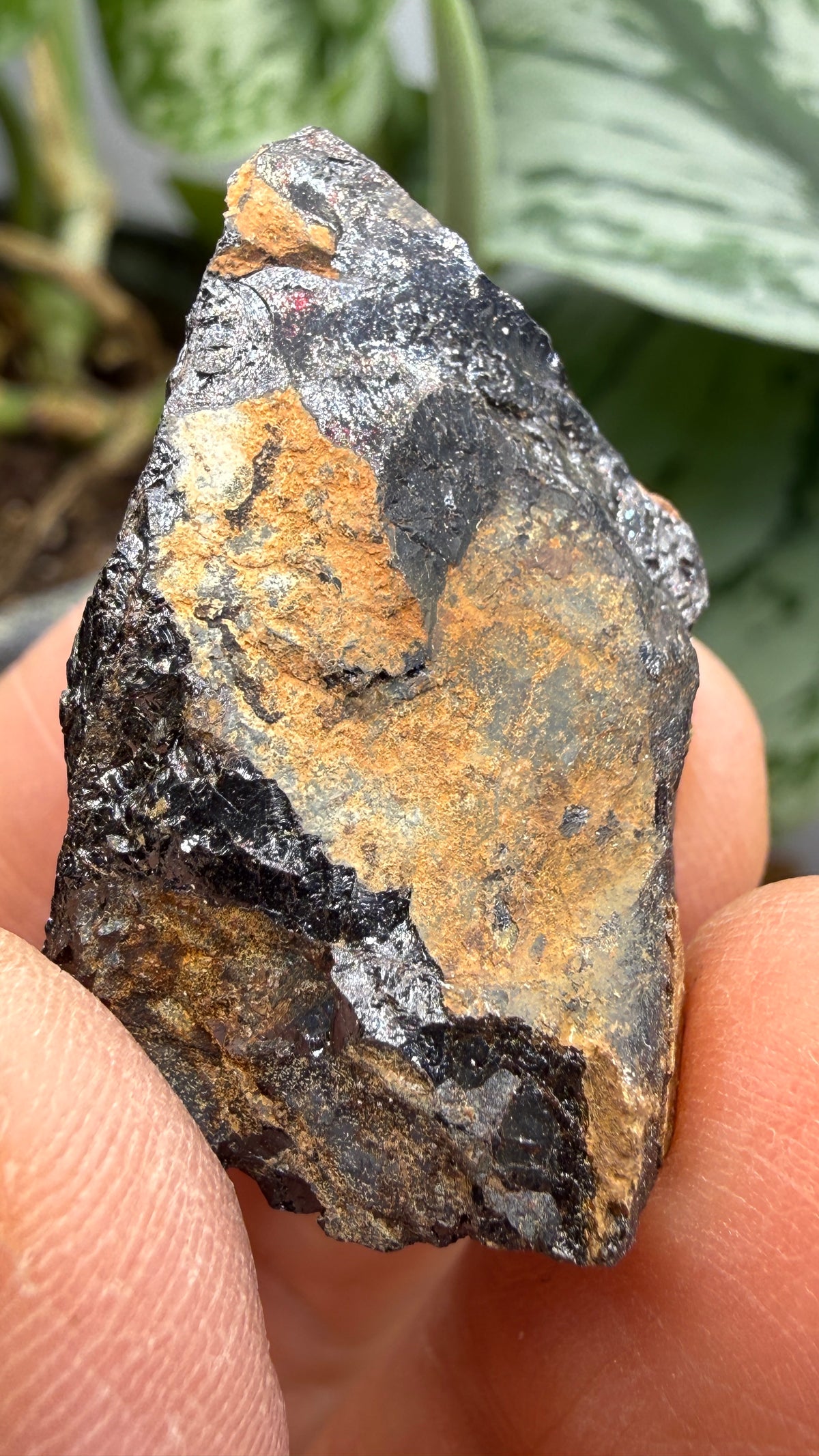 Euxenite-(Y)- Sahamandrevo Pegmatite, Ambohimasina, Betafo District, Vakinankaratra, Madagascar