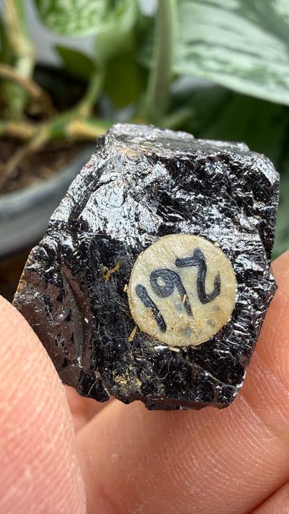 Euxenite-(Y)- Sahamandrevo Pegmatite, Ambohimasina, Betafo District, Vakinankaratra, Madagascar