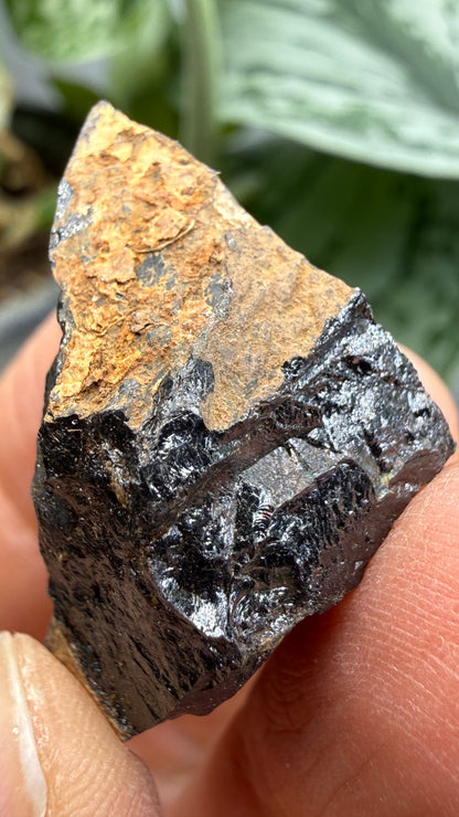 Euxenite-(Y)- Sahamandrevo Pegmatite, Ambohimasina, Betafo District, Vakinankaratra, Madagascar