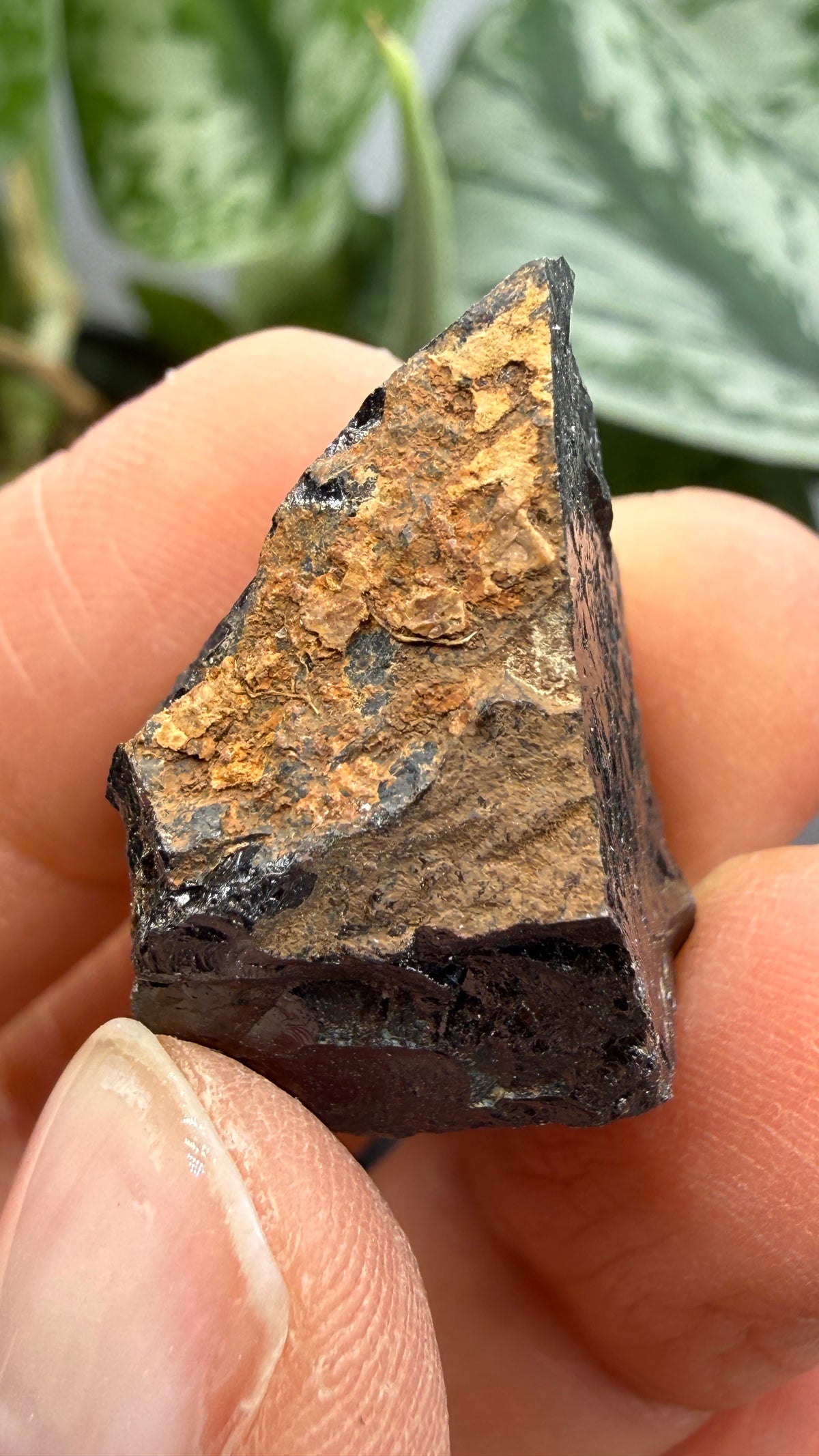 Euxenite-(Y)- Sahamandrevo Pegmatite, Ambohimasina, Betafo District, Vakinankaratra, Madagascar