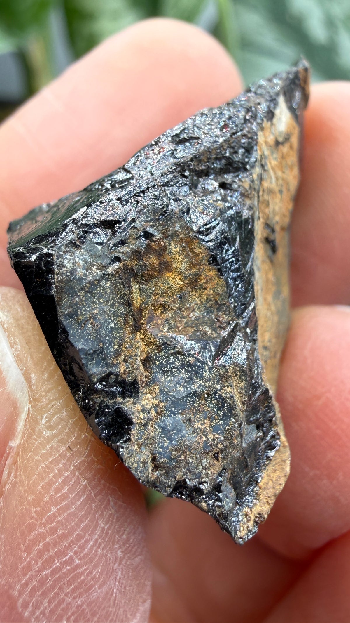 Euxenite-(Y)- Sahamandrevo Pegmatite, Ambohimasina, Betafo District, Vakinankaratra, Madagascar