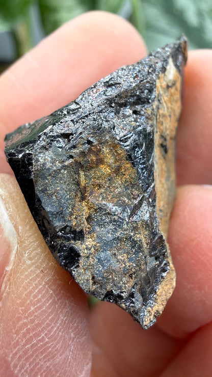 Euxenite-(Y)- Sahamandrevo Pegmatite, Ambohimasina, Betafo District, Vakinankaratra, Madagascar