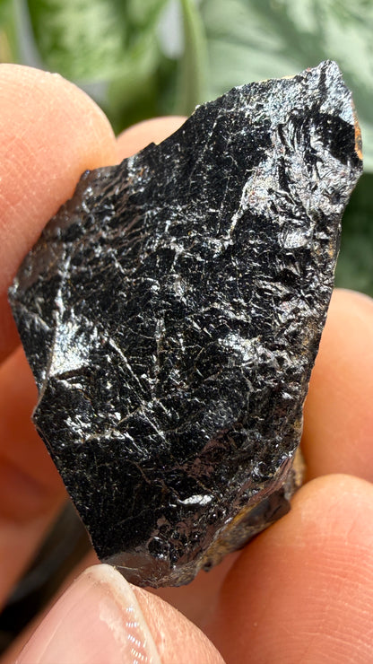 Euxenite-(Y)- Sahamandrevo Pegmatite, Ambohimasina, Betafo District, Vakinankaratra, Madagascar