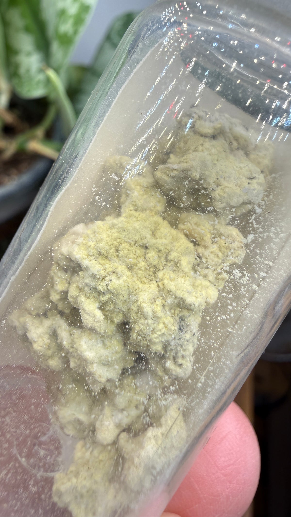 Melanterite- Copperas Mountain, Paxton Township, Ross County, Ohio, USA