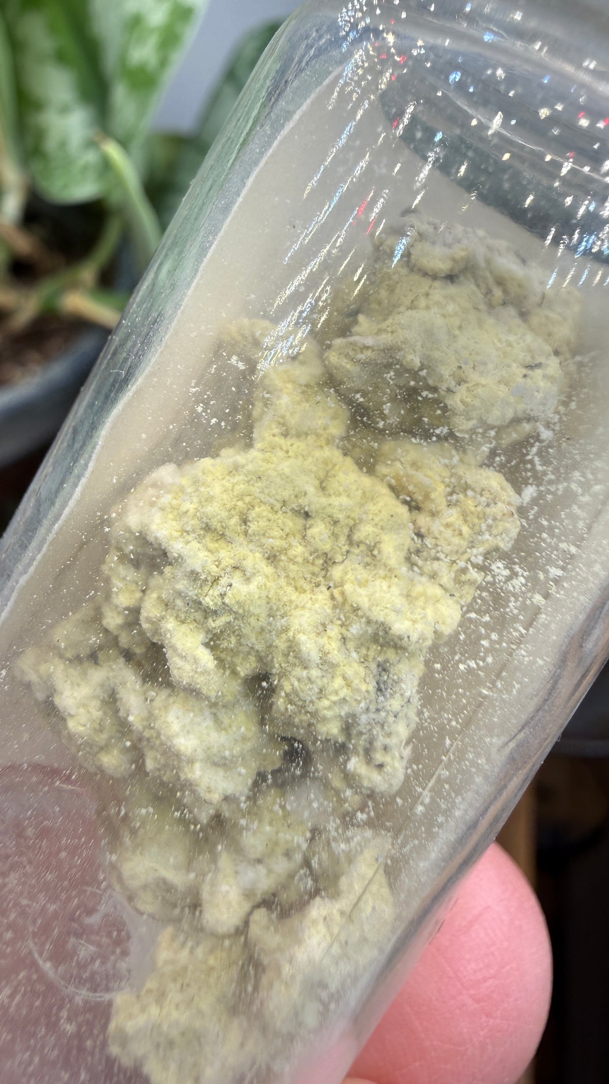Melanterite- Copperas Mountain, Paxton Township, Ross County, Ohio, USA