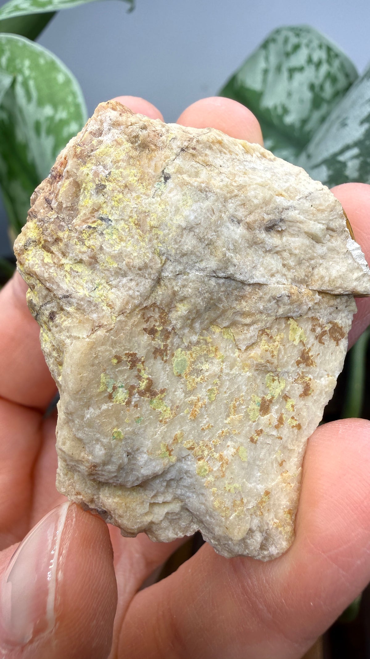 Autunite, Uranophane & Manganapatite– Canada