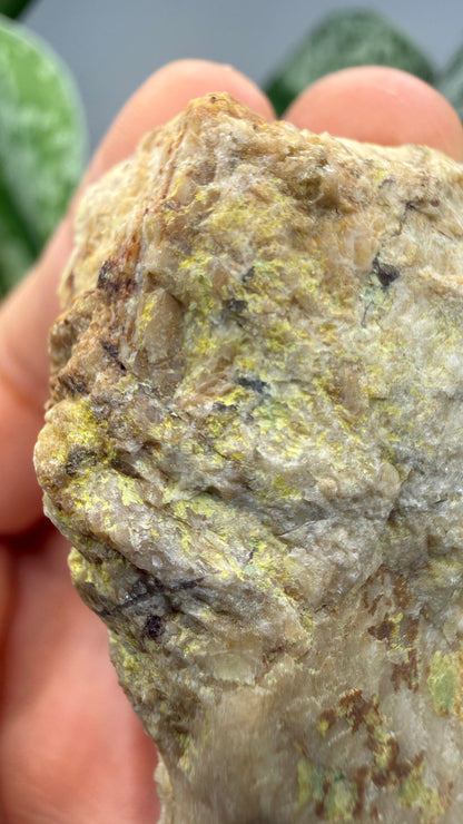 Autunite, Uranophane & Manganapatite– Canada
