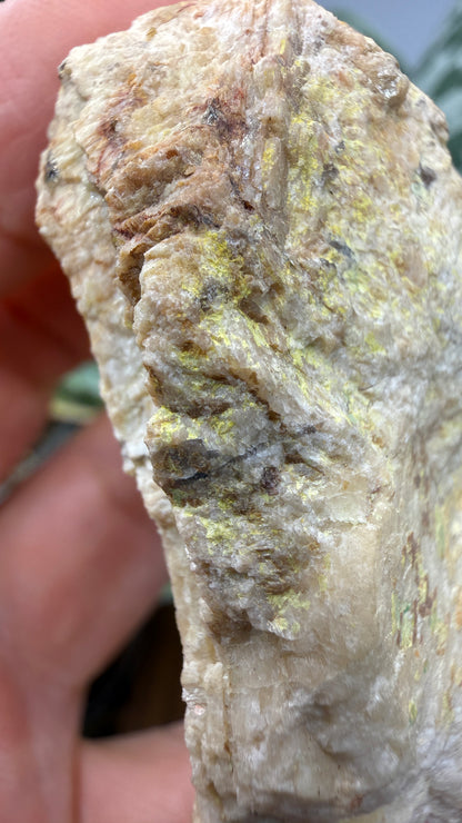 Autunite, Uranophane & Manganapatite– Canada